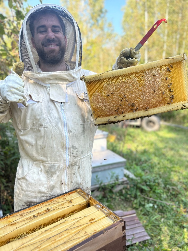 Apiculteur des Sucres Dorés tenant un cadre de ruche couvert d'abeilles